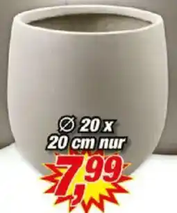 Posten Börse Blumentopf ,,Armin" Angebot