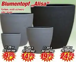 Posten Börse Blumentopf ,,Alisa" Angebot