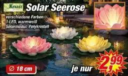 Posten Börse KYNAST Solar Seerose Angebot