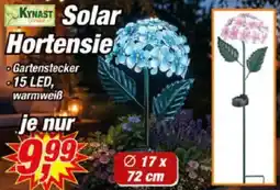 Posten Börse KYNAST Solar Hortensie Angebot