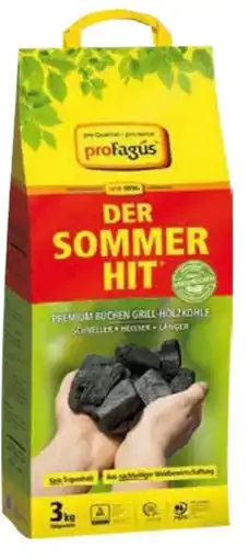 Globus Baumarkt proFagus Holzkohle Der Sommerhit Angebot