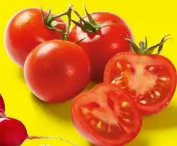 Lidl Strauchtomaten Angebot