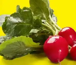 Lidl Radieschen Angebot