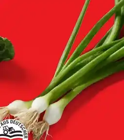 Lidl Lauchzwiebeln Angebot