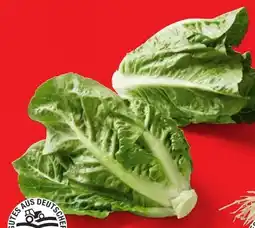 Lidl Mini-Romana-Salat Angebot