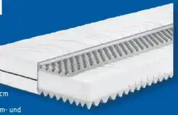 Lidl Badenia Trendline 7-Zonen Kaltschaum Matratze BT 260 Angebot