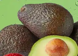 PENNY Marktliebe Avocado Angebot