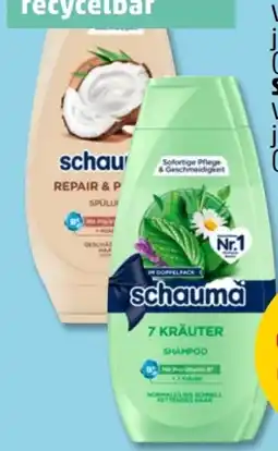 PENNY Schwarzkopf Schauma Spülung Angebot