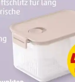 PENNY Brabantia Frischhaltebox Angebot