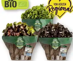 Scheck-in-Center Unsere Heimat Bio Bunte Salate Angebot