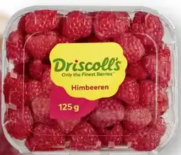 Scheck-in-Center Driscoll's Himbeeren Angebot