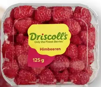Scheck-in-Center Driscoll's Himbeeren Angebot