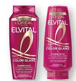 Scheck-in-Center L'Oréal Paris Elvital Shampoo Angebot