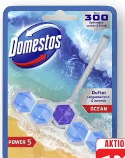 Edeka Domestos WC Stein Power 5 Ocean Angebot