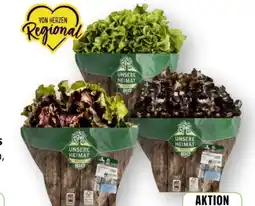 Edeka Unsere Heimat Bio Bunte Salate Angebot