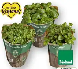 Edeka Unsere Heimat Echt & Gut Bio Petersilie kraus Angebot