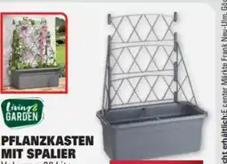 Edeka Living Garden Pflanzkasten Angebot