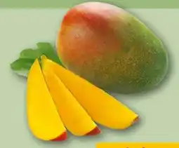 REWE Center Mango Angebot