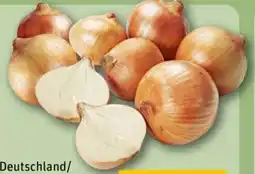 REWE Center Gelbe Speisezwiebeln Angebot