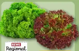 REWE Center Rewe Regional Salat Lollo Bionda Angebot