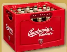 REWE Center Budweiser Budvar (CZ) Czech Premium Lager Angebot