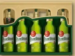 REWE Pilsner Urquell Pilsener Angebot