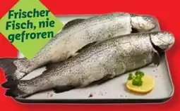 Lidl Fischerstolz Regenbogenforelle Angebot