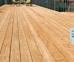 Hellweg Douglasien-Terrassendiele Angebot