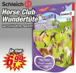 Posten Börse Schleich Horse Club Wundertüte Angebot