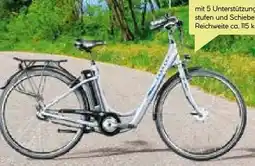 BayWa Bau & Garten Zündapp City-E-Bike Green 2.7 Angebot