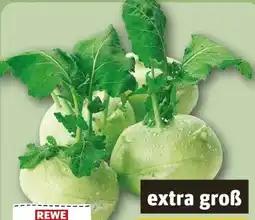 REWE Rewe Regional Kohlrabi Angebot