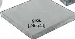 BayWa Bau & Garten Beton-Gehwegplatte Angebot