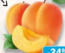 AEZ Aprikosen Angebot
