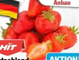 AEZ Hit Erdbeeren Angebot