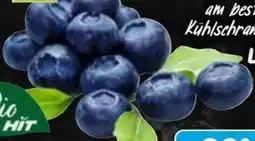 AEZ Bio HIT Heidelbeeren Angebot