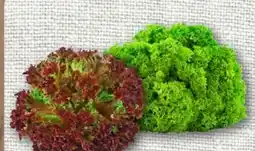 nahkauf Rewe Regional Bunte Salate Angebot