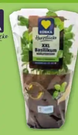 Edeka Edeka Herzstücke XXL Basilikum Angebot