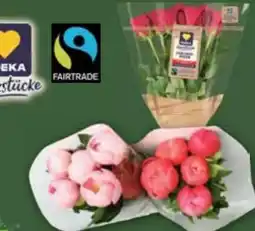 E-Center Edeka Herzstücke Pfingstrosen Angebot