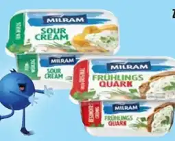 Edeka Milram Zaziki Angebot