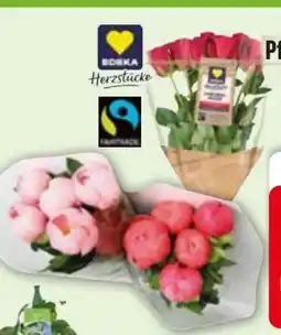 Edeka Edeka Herzstücke Pfingstrosen Angebot
