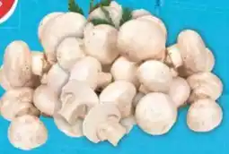 E-Center Gut & Günstig Frische Champignons Angebot