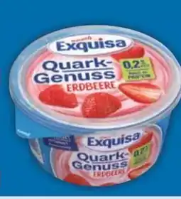 E-Center Exquisa Fruchtquark Angebot