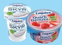 Edeka Exquisa Skyr Angebot