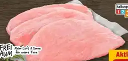 REWE Center Freiraum Puten-Schnitzel Angebot
