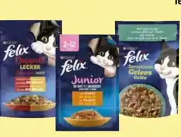 Edeka Purina Felix Katzennahrung Angebot