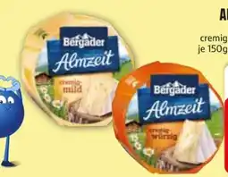 Edeka Bergader Almzeit Minitorte Angebot