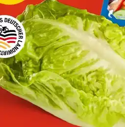 PENNY Romana-Salatherzen Angebot