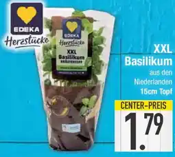 E-Center XXL Basilikum Angebot