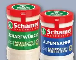 REWE Center Schamel Bayerischer Meerrettich Scharfwürzig Angebot
