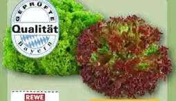 REWE Center Rewe Regional Bunte Salate Angebot